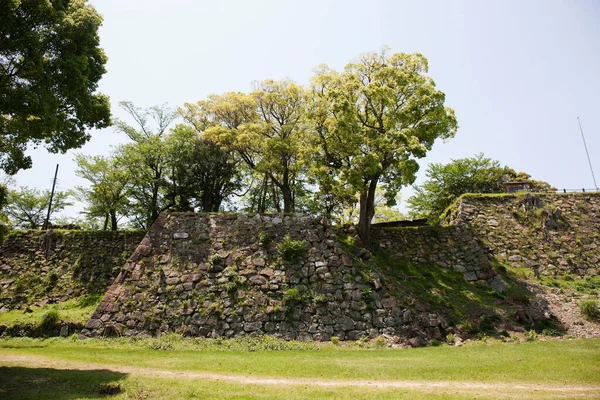 Ερείπια Αρχαίου Φρουρίου Και Πράσινων Δέντρων — Φωτογραφία Αρχείου