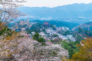 Kiraz çiçekleri ve arka planda dağlar olan şehir panoraması, Japonya