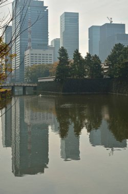 Yayılan Japon kentsel manzarasının çatılarına ve sokaklarına ışık saçıldı..