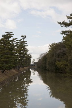 Sakin nehir suyuna yansıyan yeşil ağaçların güzel manzarası
