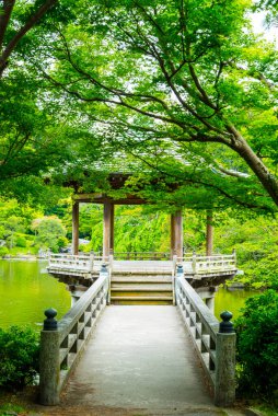 Japonya 'daki güzel yaz gölü manzarası