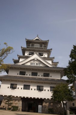 Ehime, Japonya 'daki Imabari kalesinin resmi