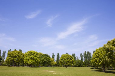 Parkın güzel manzarası