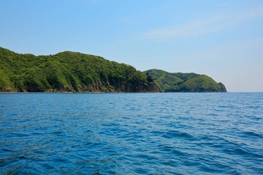 Yeşil dağlı deniz kıyısı 