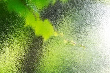 yeşil yaprak arkaplan, soyut arkaplan