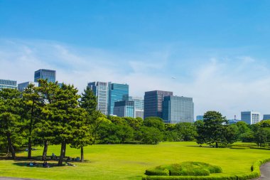 Tokyo silüeti ve yazın park yeri