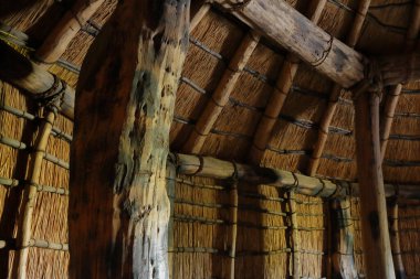 Japonya 'nın orta Aomori bölgesindeki Aomori şehrindeki San' nai-Maruyama iseki Özel Tarihi Bölgesi 'nde ahşap kule. Yerleşim yeri, tarihi dönüm noktası.