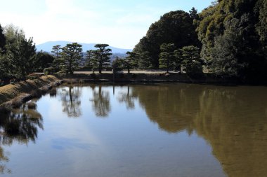 Japon bahçesi, gölet, kyoto, japon