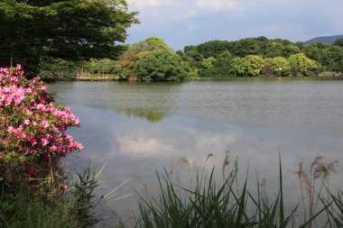 Dağlardaki göl manzarası