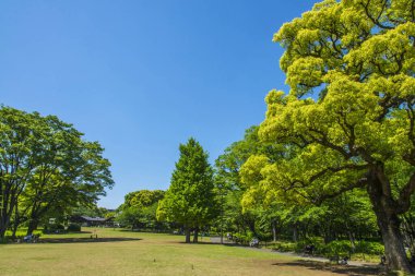 Parkın güzel manzarası