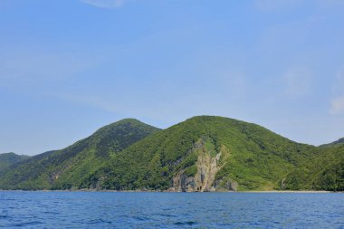Deniz kıyısındaki güzel yeşil tepelerin manzarası