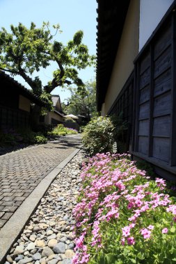 Yol çiçek ve ağaçlarla dolu.