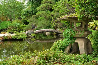 Yaz günü göletli Japon bahçesi