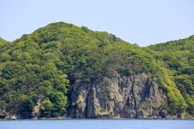 Yeşil dağlı deniz kıyısı 