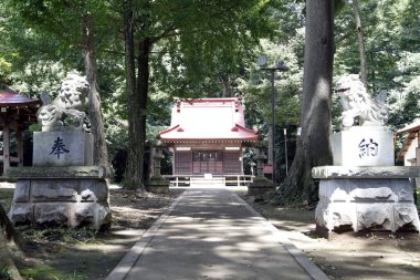 Antik tapınak binası, Asya mimarisi