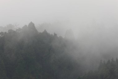 Dağlarda sabah sisi 