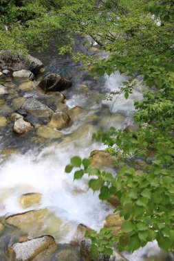 Kayalarla dolu güzel bir dere manzarası.