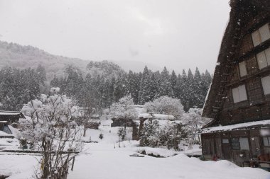 Japonya 'da kış mevsiminde geleneksel Japon Shirakawa köyü. Unesco Dünya Mirası