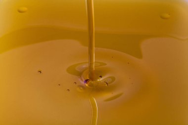 Bal dökme manzarasını kapat. Makro fotoğrafçılık