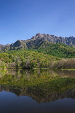 Japonya 'daki güzel dağ gölü manzarası