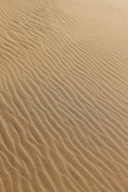Kum tepeleri, doğa arka planı