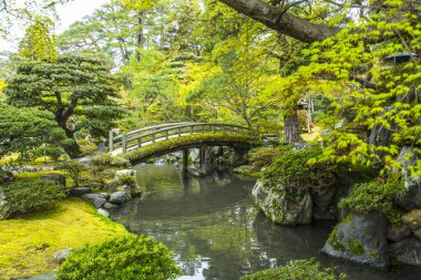 Parkta göleti olan Japon bahçesi. 