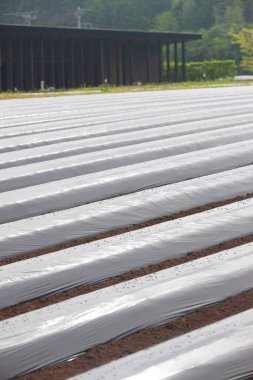 kırsal alanda modern sera teknolojileri