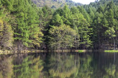 Dağlardaki güzel sakin göl manzarası