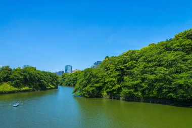 Parktaki ve kentsel kentteki güzel göl manzarası    