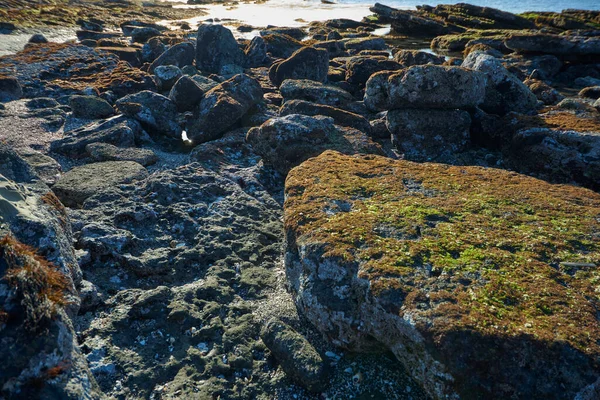 Prachtig Uitzicht Rotsachtige Zeekust — Stockfoto