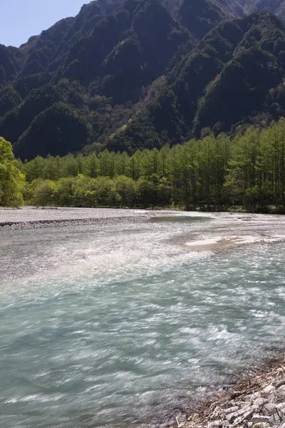 Japonya 'daki dağ nehrinin güzel manzarası
