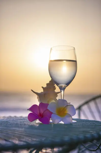 Fundo Verão Com Flores Plumeria Concha Vinho Com Água Praia — Fotografia de Stock