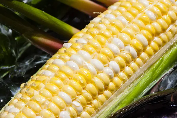 Fresh Corn Cob Wooden Background — Stock Photo, Image
