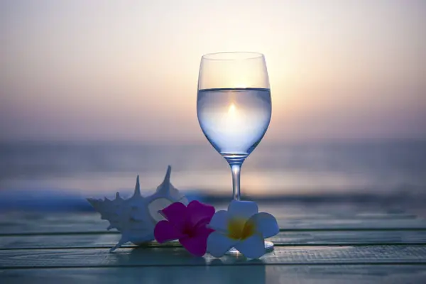 Sfondo Estivo Con Fiori Plumeria Conchiglia Bicchiere Vino Con Acqua — Foto Stock
