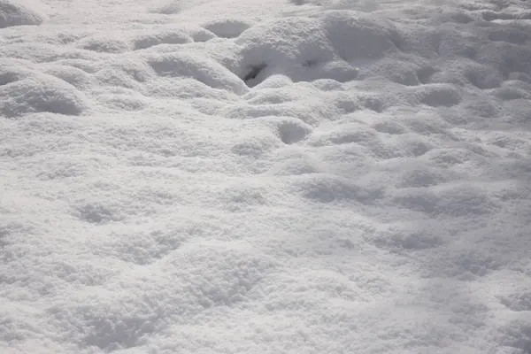 Fondo Invierno Con Nieve —  Fotos de Stock