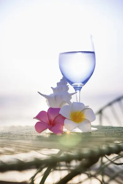 Letní Zázemí Plumerie Květiny Skořápka Vinná Sklenice Vodou Pláži — Stock fotografie