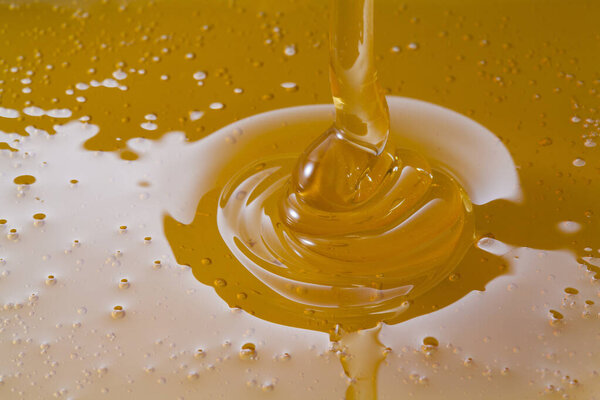 Close up view of honey. Macro photography