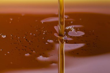 Bal dökme manzarasını kapat. Makro fotoğrafçılık