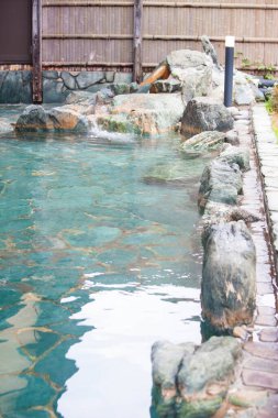 Bahçedeki güzel Japon göleti manzarası