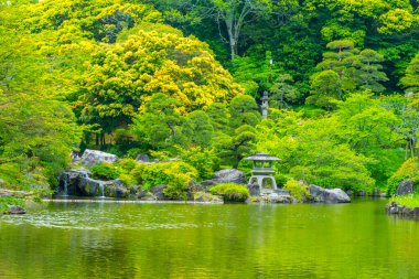 Sakin göleti ve yazın yeşil ağaçları olan güzel Japon parkı.        