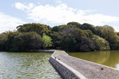 Sakin suyun yanındaki yeşil ağaçların arasından geçen taş patika.