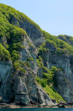 Deniz kıyısındaki güzel yeşil tepelerin manzarası