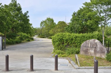 Yaz boyunca yeşil şehir parkı 
