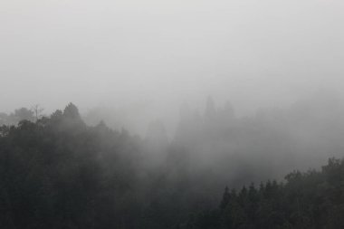 Dağlarda sabah sisi 