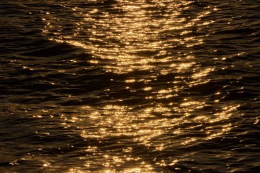 Gün batımında güzel deniz dalgaları