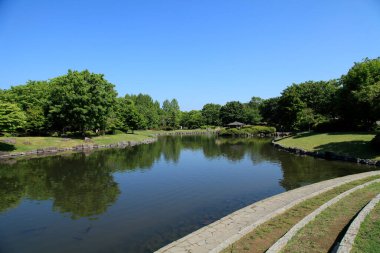 Güneşli bir günde sakin göleti ve yeşil ağaçları olan güzel şehir parkı manzarası.
