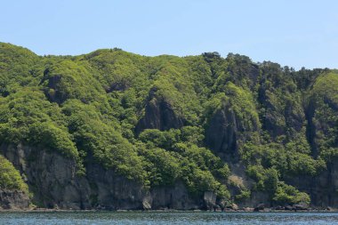 Yeşil dağlı deniz kıyısı 