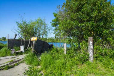 Etrafı yeşilliklerle çevrili, göle giden yol.