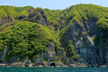 Deniz kıyısındaki güzel yeşil tepelerin manzarası