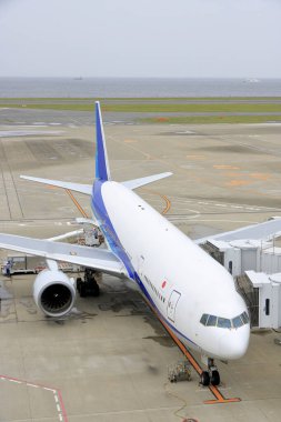 Tokyo Uluslararası Havaalanı olarak da bilinen Haneda Havaalanı Terminali 1 'deki yolcu uçağı. Japonya 